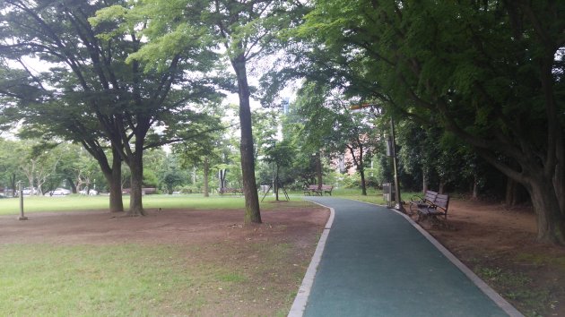 常緑公園の散策路とベンチ